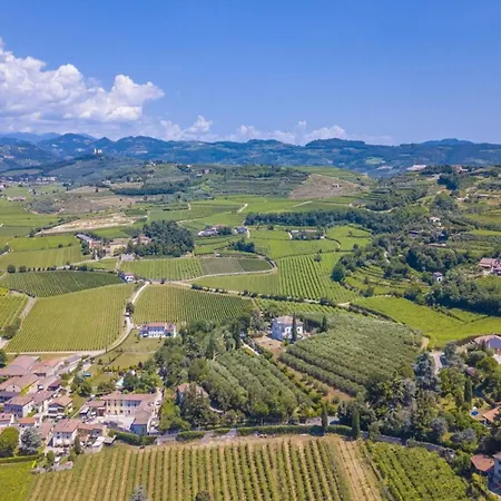 I Cipressi By Halldis