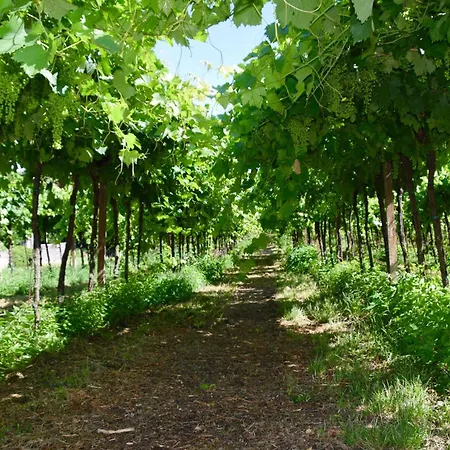 I Cipressi Villa *