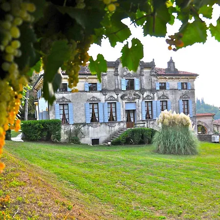 I Cipressi By Halldis